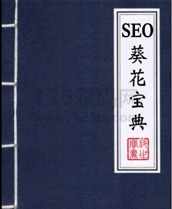 SEO葵花宝典打通流量任督二脉的终极修炼指南-125源码网